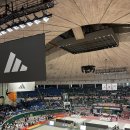 한국체대 금나래태권도 이미지