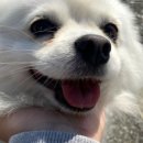 우산목장 이미지