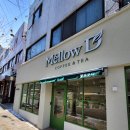 멜로우디(MELLOW:D) 이미지