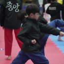 강철 학운 태권도 이미지