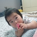 이선생 왕코다리 이미지