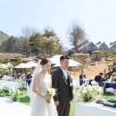 시집가는날 - 횡성군 | 시집가는날
