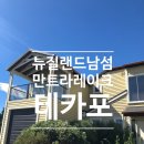 [뉴질랜드 남섬] 만트라 레이크 테카포