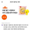 비트시럽 네이버블로그