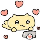 모모플러스 이미지