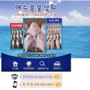 풍물상회