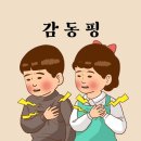 경주 애견동반 펜션 : 파파야 애견동반펜션(103호/장단점 &amp; 솔직후기)