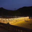 헬로우댕댕 이미지