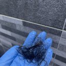 (주)탐나모 | 탐나모 천연 두피영양제 사용 후기
