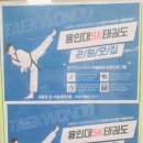 용인대 SK 태권도 이미지