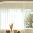 스마트폰으로 찍는 인생사진 이미지