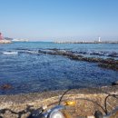 해움펜션 이미지