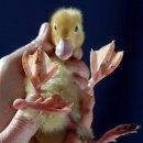 한다리농장 이미지