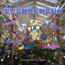 삐삐포레스트