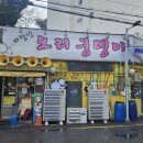 바람난오리궁뎅이 이미지