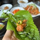 지선생 쌈촌 | 옥천 맛집 지선생쌈촌 밥맛 좋고 신선한 쌈이 있는 쌈밥집