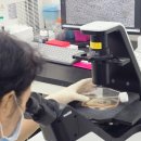 원셀메디의원 이미지