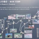 강화역사박물관 | 강화도 여행지 강화도 고인돌 부근리 지석묘, 강화역사박물관 후기(신미양요, 철종 강화도령 이원범)