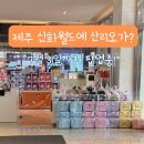 가-31 | 제주 신화월드 가볼만한곳 7월 31일까지 산리오 팝업스토어 후기