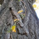 중동대림아파트 이미지