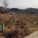 웃말농장 네이버블로그
