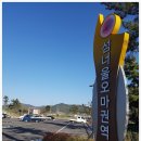 섬너울 오마 네이버블로그