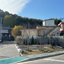 하동경찰서 앞 이미지