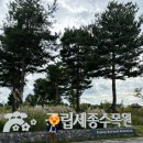 야간도심테마 | 국립세종수목원 방문 후기 – 낮부터 야간개장까지 알차게!