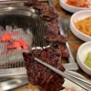 참토우 이미지