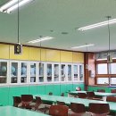 금오초등학교 Daum카페