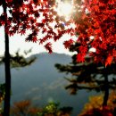 화순 우리집근방 너릿재 옛길 이미지