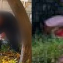 월하정인 이미지