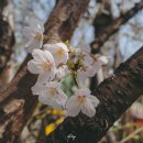 리코 GR3 사용 후기 : 외근의 기록