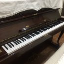 칸토피아노학원 이미지