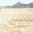 별량면사무소 이미지