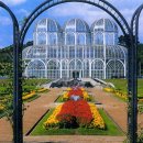 꾸리찌바 이미지