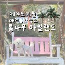 통나무아일랜드 | [제주도여행] 애월 강아지 애견동반 반려동물동반 숙소 통나무아일랜드 펜션
