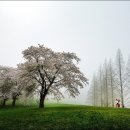 고대1088 이미지