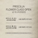 프리스실라플라워 이미지
