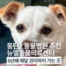 뉴엘동물의료센터 | 동탄2 동물병원 추천 뉴엘동물의료센터 6년째 예방접종 및 관리