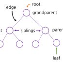 트리(TREE)