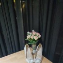 스탠스제이 이미지