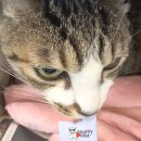 동물의료센터24인치 이미지