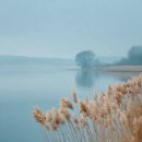 강변에서 이미지