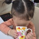 대한약업사 | 대구약전골목 미드미허브 이용후기 _좋은한약재 마시는차