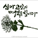 농소초교 Daum카페