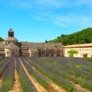 대구농약사 이미지