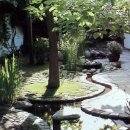 연못이 있는 집 이미지