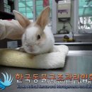 등촌3동 주민센타 이미지
