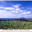 월령 선인장 이미지